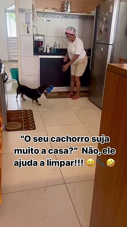 Juca sempre ganha petisco após ajudar. 