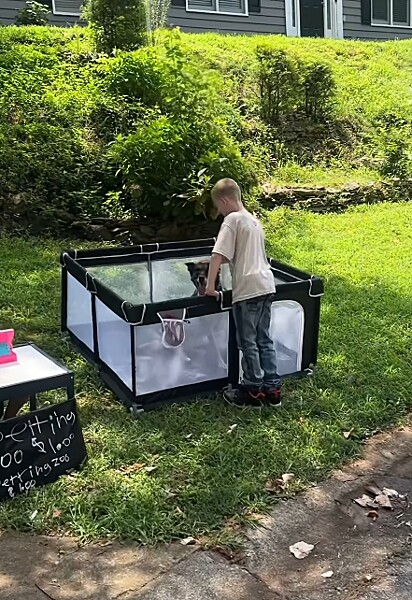 Dorka recebendo carinho de um cliente.