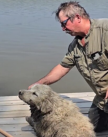 A cachorrinha estava desaparecida há dias, e Tom a ajudou a se reencontrar com sua família.