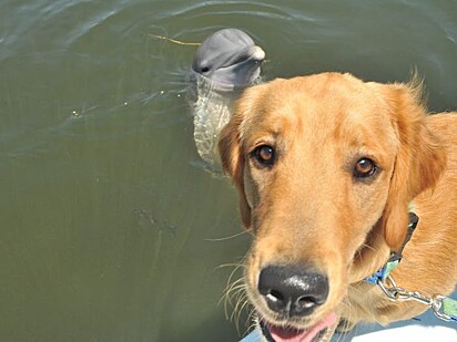 Gunner e Delta se tornaram bons amigos.