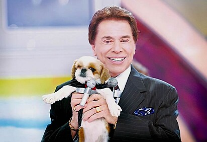 Uma participante apareceu com um pequeno shih-tzu vestido igual ao apresentador Silvio Santos.