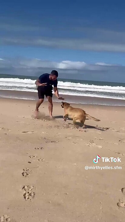 O cachorro correu atrás do homem em busca de vingança.