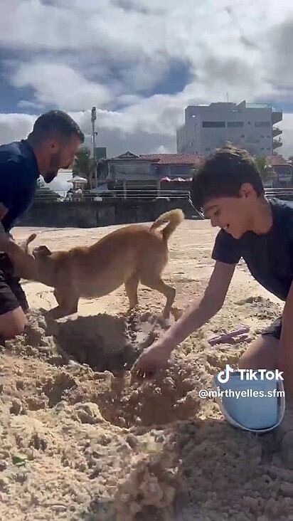 O homem tentou fazer amizade mas o cão não estava na vibe.