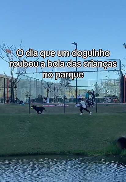 O cão fez a criançada correr atrás dele.