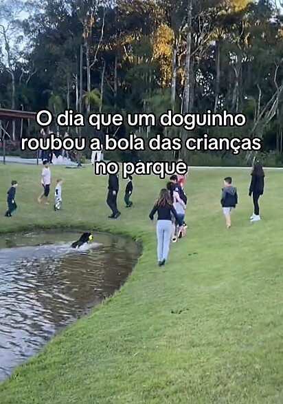 O cão movimentou o parque naquele dia.