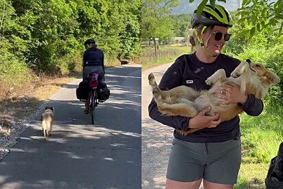 Cachorrinha segue ciclistas por 4 dias e web fica apaixonada pelo que acontece depois.