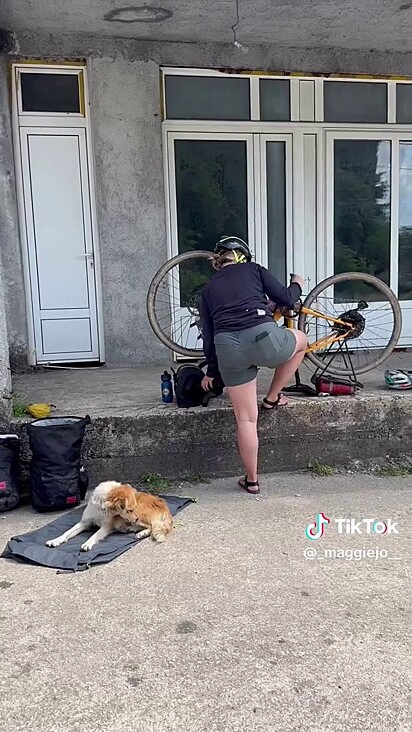 A cachorrinha escolheu acompanhar a dupla.