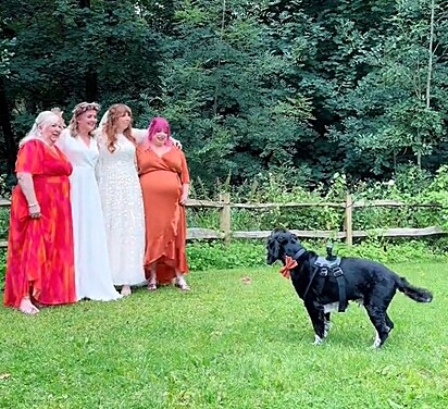 Bobby carregou uma câmera GoPro na coleira para filmar o casamento.