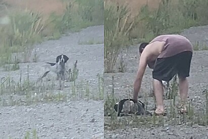 Um ano após a perda de sua cachorrinha, homem que disse que não teria mais animais tem encontro inexplicável.