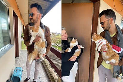 Depois de 2 anos, gata resgata reencontra um de seus filhotes e tutor não acredita no que aconteceu