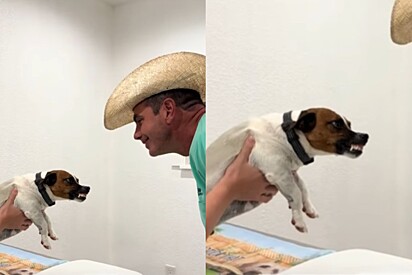 Veterinário usa truque para conseguir se aproximar de cão que não gosta de homens e reação do pet viraliza.