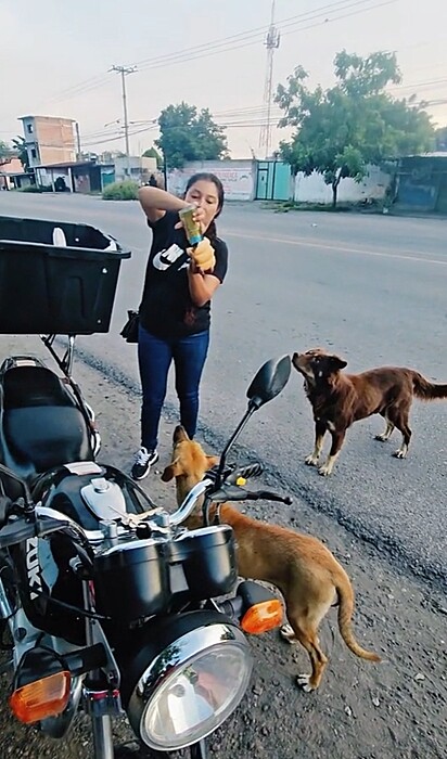 Ana preparando um pão para alimentar os cães.