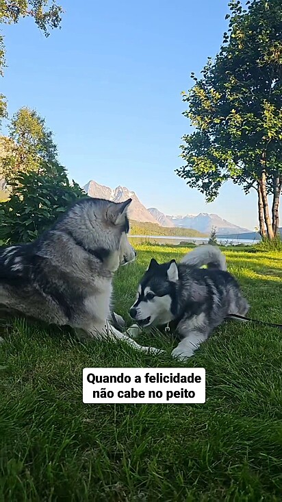 Ila e Atka adoram passar o tempo juntos.