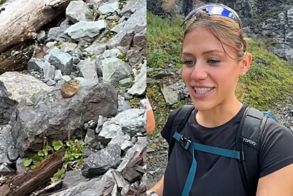 Estudante avista pequeno animal fofo durante caminhada em montanha; que hamster misterioso é esse?