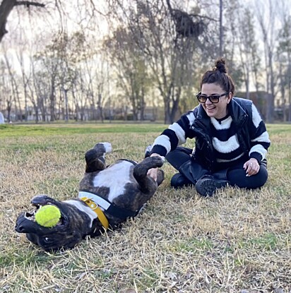 Giselle assumiu a missão de encontrar uma família amorosa para o cão.