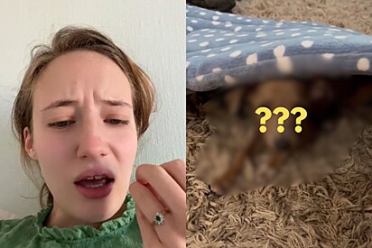 Mulher fica perplexa com o novo pet do pai: um goblin que finge ser um cachorro