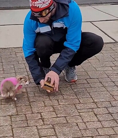 O homem deu um presente para a cachorrinha.