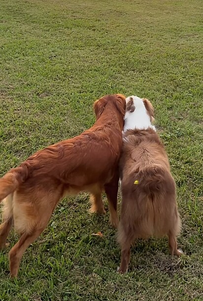 Maisy e Levi são muito unidos. 