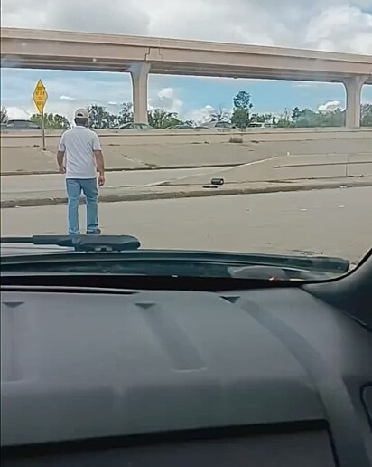 Quando o casal viu a criaturinha na beira da estrada, parou para socorrê-la.