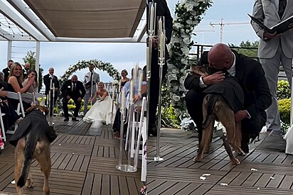 Quando menos esperava, homem é surpreendido por seu cachorro no casamento e não consegue segurar a emoção.