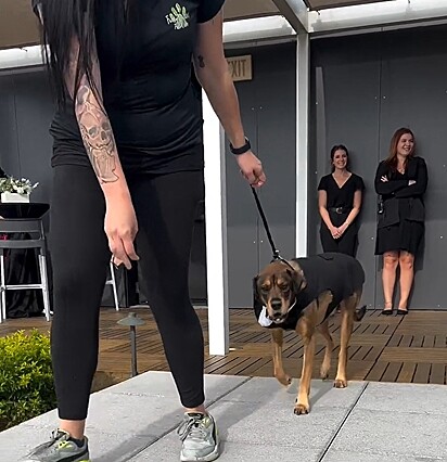 O cachorro do noivo também participou do momento.