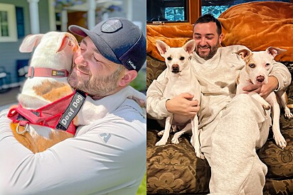 Homem que não queria pets pega cachorrinho surdo no colo e, naquele momento, sua vida muda para sempre