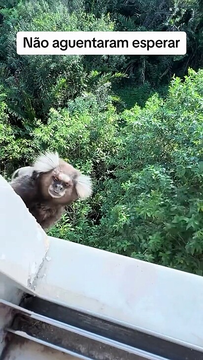 A autora do vídeo não foi identificada.