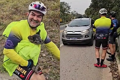 Ciclista resgata cão na beira da estrada, mas algo dá errado e esposa precisa socorrê-lo.