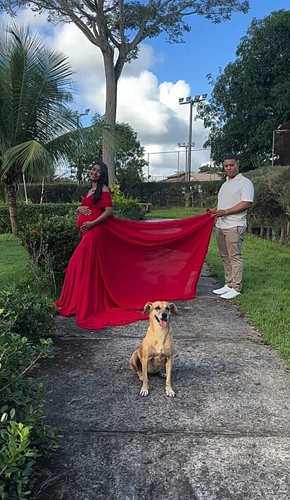 A Caramela invadiu sessão de fotos e fez a egípcia para não sair da frente.