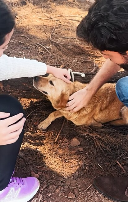 Naquele momento, a vida do animal mudou para sempre.