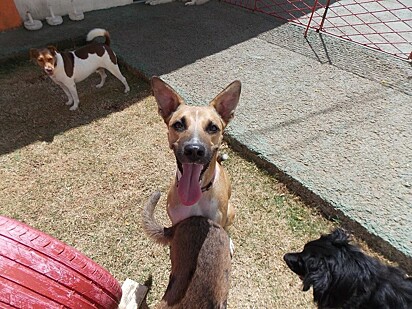 Nuno ama a creche.