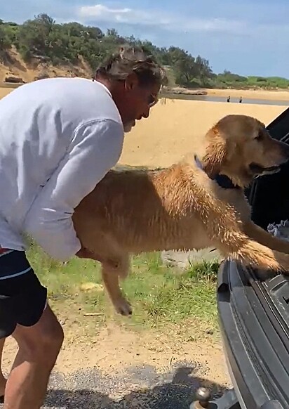 Tiger ama a praia e não gosta nem um pouco da ideia de ter que ir embora.