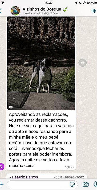 Mensagem que a mulher postou no grupo do condomínio.