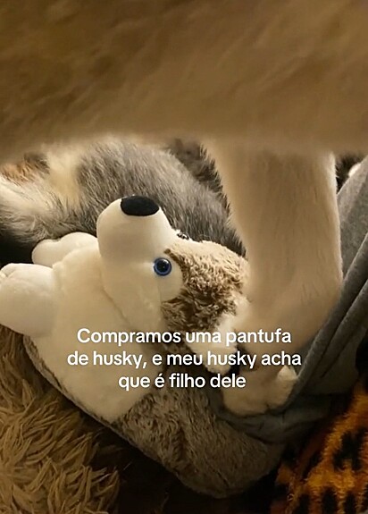 Fernanda comprou uma pantuda em formato de husky siberiano.