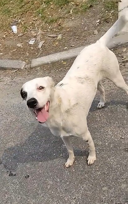 Letícia parecia muito feliz.