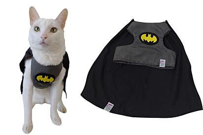 Roupa Pet Batman