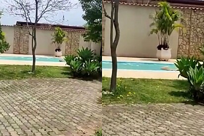 Mulher fica surpresa ao encontrar alguém usando sua piscina: Não estou acreditando que estou vendo isso