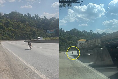 Motorista dirigia em rodovia quando, de repente, vê alguém passando perigo e resolve agir.