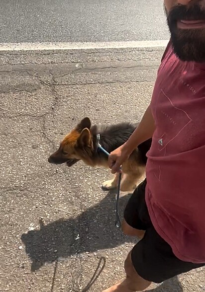 Marecelo conseguiu resgatar a cachorrinha.