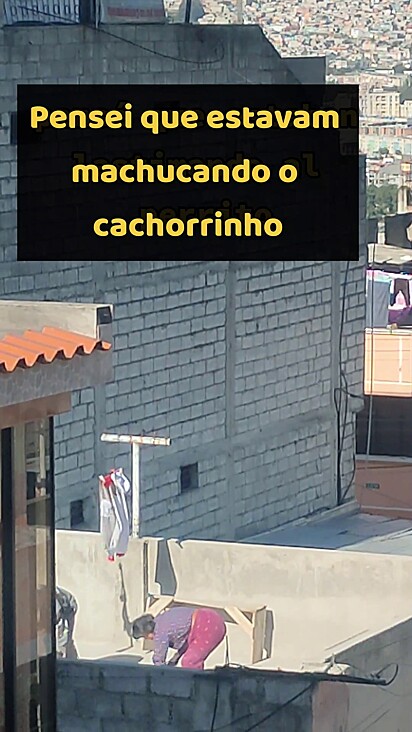 O cachorro gritava em cima da laje.