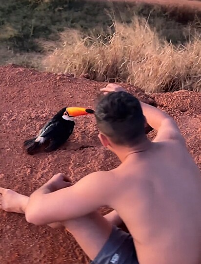 João ficou muito feliz por ter resgatado a ave.