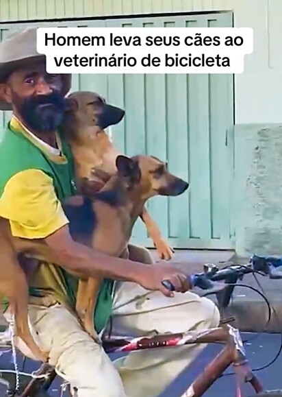 Denis, catador de recicláveis, cuida de 28 cachorros resgatados das ruas.