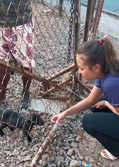 A cachorrinha conquistou o coração de Letícia à primeira vista.