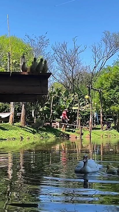 O sítio é aberto para visitantes.