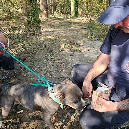 Athena foi alimentada e hidratada pelos socorristas.