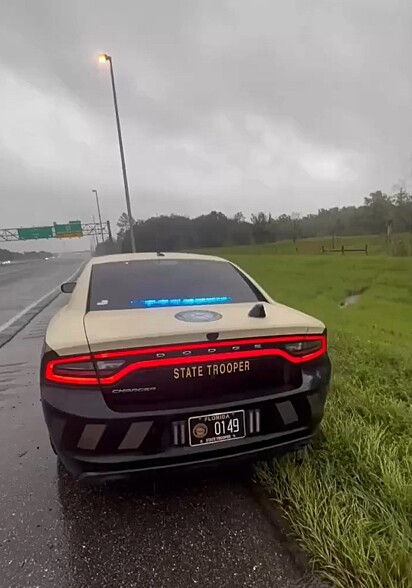 Policial resgata cachorro abandonado na beira da estrada.