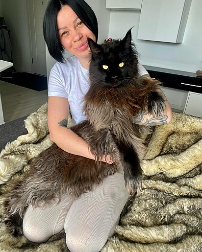 Daniela Ermolaeva sonhava ter um gato da raça Maine Coon.