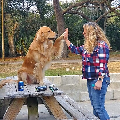 Kimberly Whigham Clark com Duke, seu golden retriever.