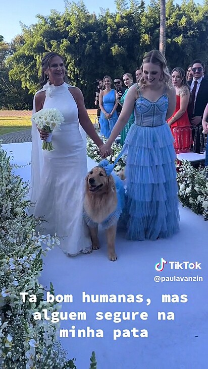 A noiva teve a companhia da golden no seu casamento.