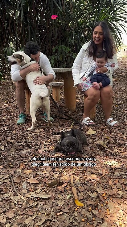 O cão ganhou tutores, irmão bebê humano e irmã canina.